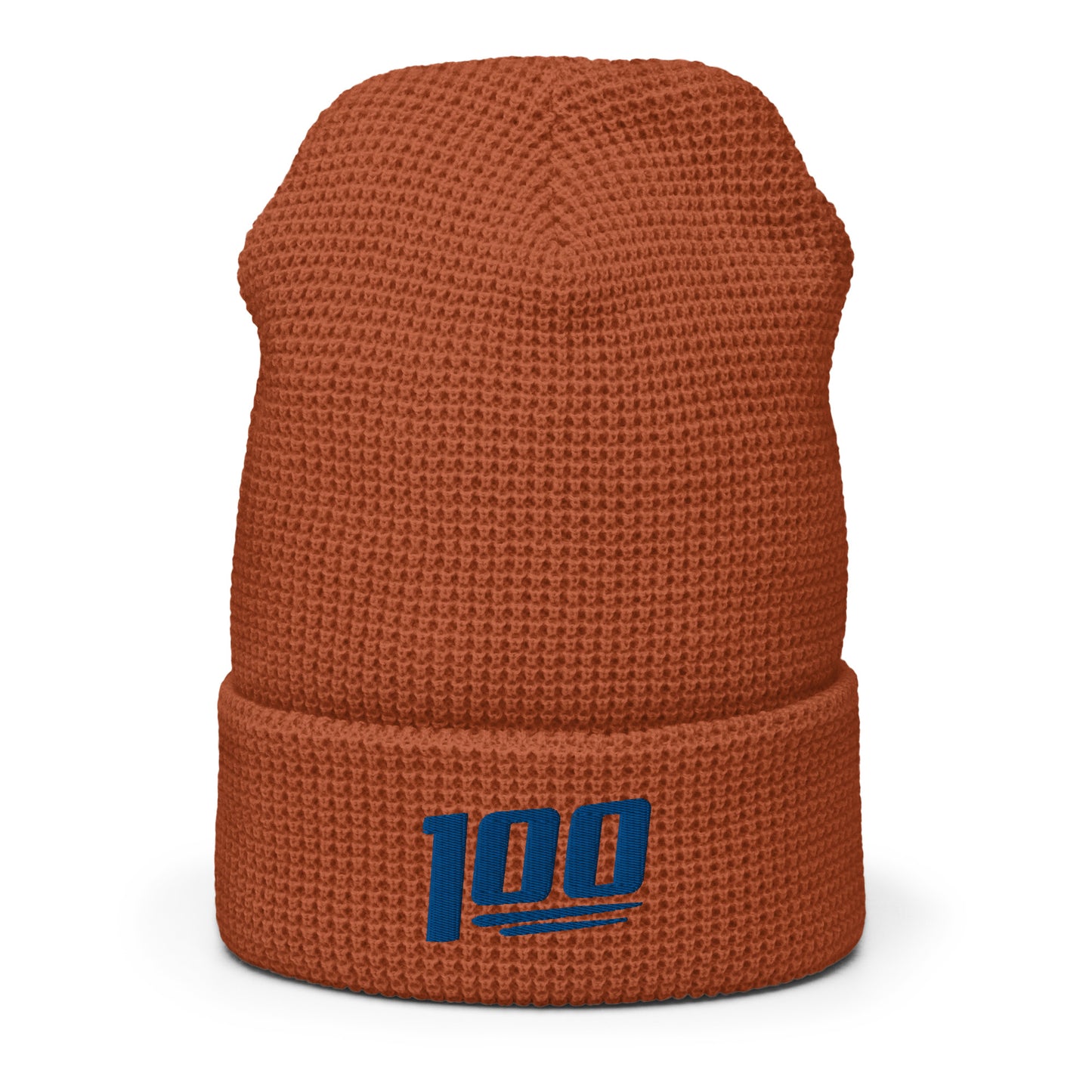 100 Logo Waffle Beanie
